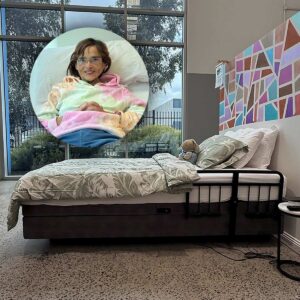 Voice Control Homecare Hi-low Bed