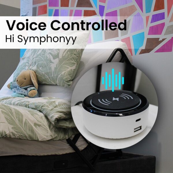 Voice Control Homecare Hi-low Bed - Image 6