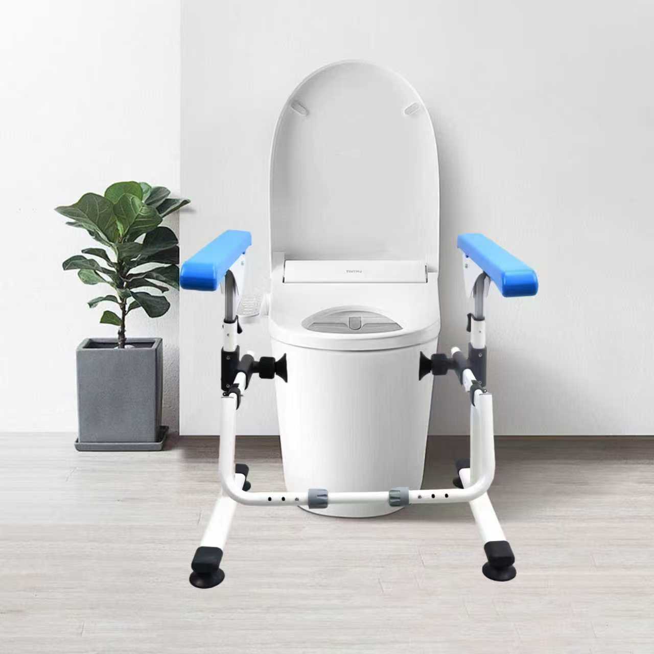 Toilet Rails