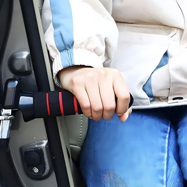 Car Assist Handle Set